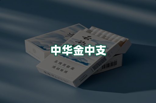 中华金中支